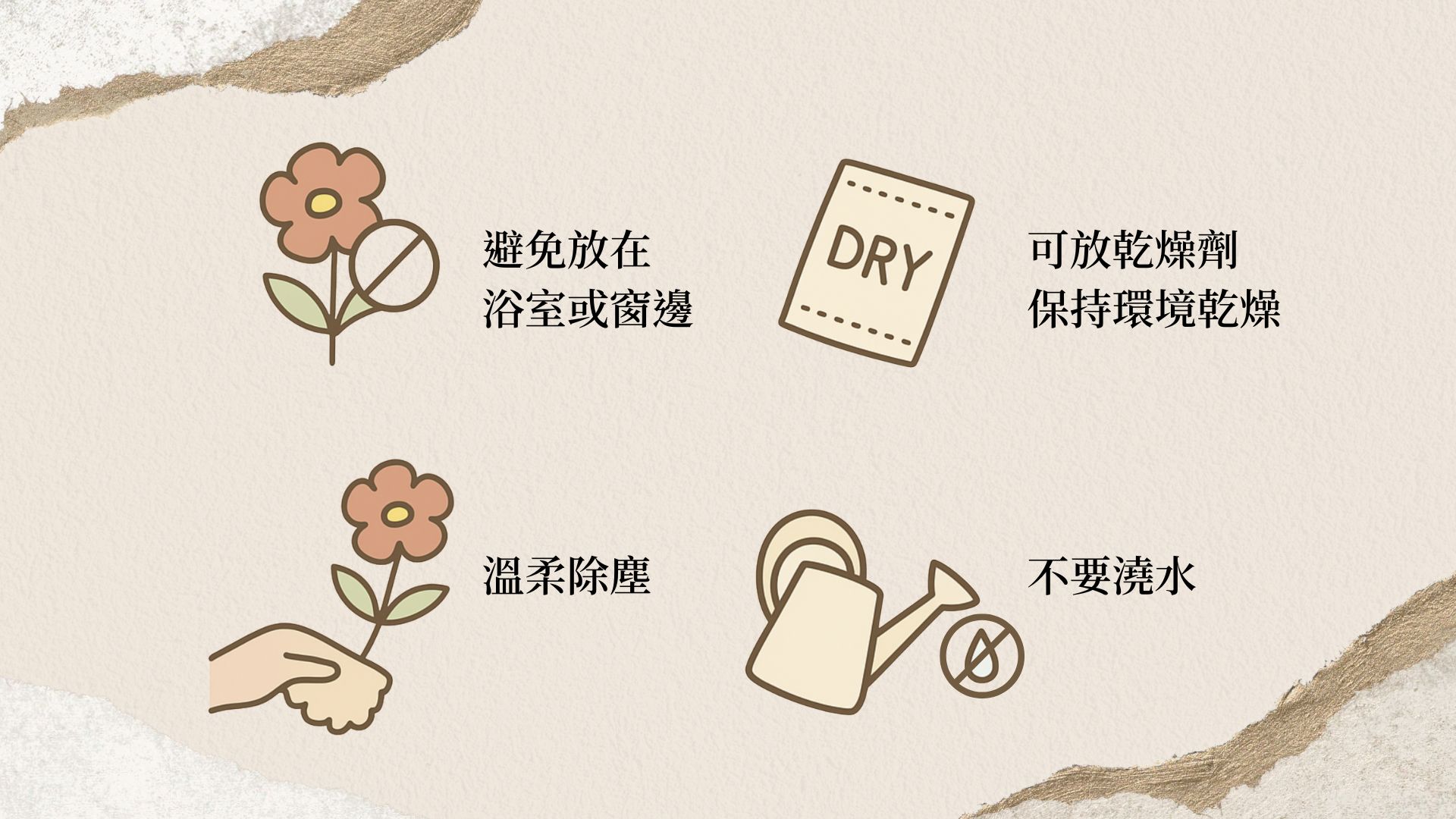 永生花乾燥花保存守則:避曬防潮、避免澆水、防塵保存