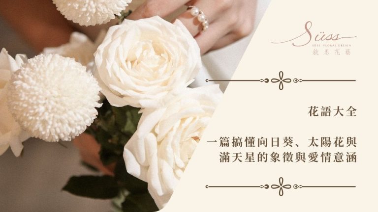 花語大全｜一篇搞懂向日葵、太陽花與滿天星的象徵與愛情意涵